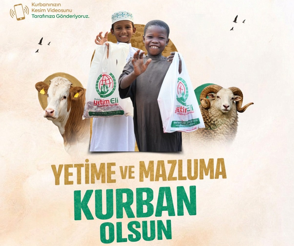 Biz Kimiz ?